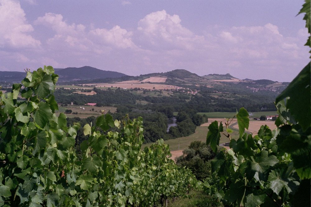 THE AUVERGNE