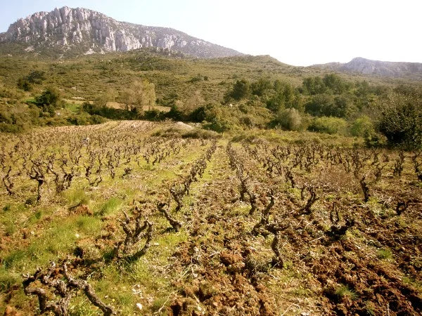 A VISIT TO MAZIÈRE
