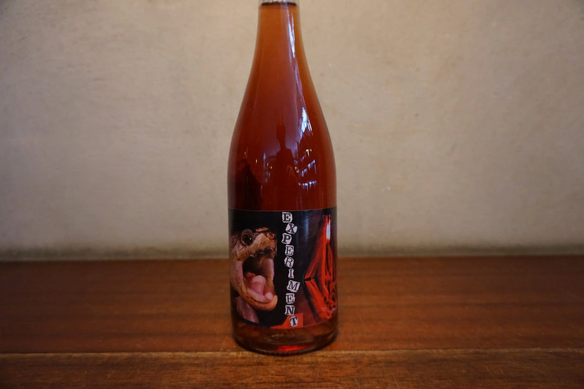 Belly Wine Experiment, Experiment 2020