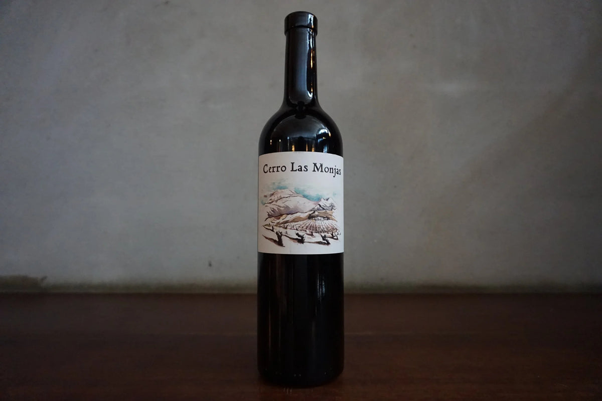 Barranco Oscuro, Cerro las Monjas 2014