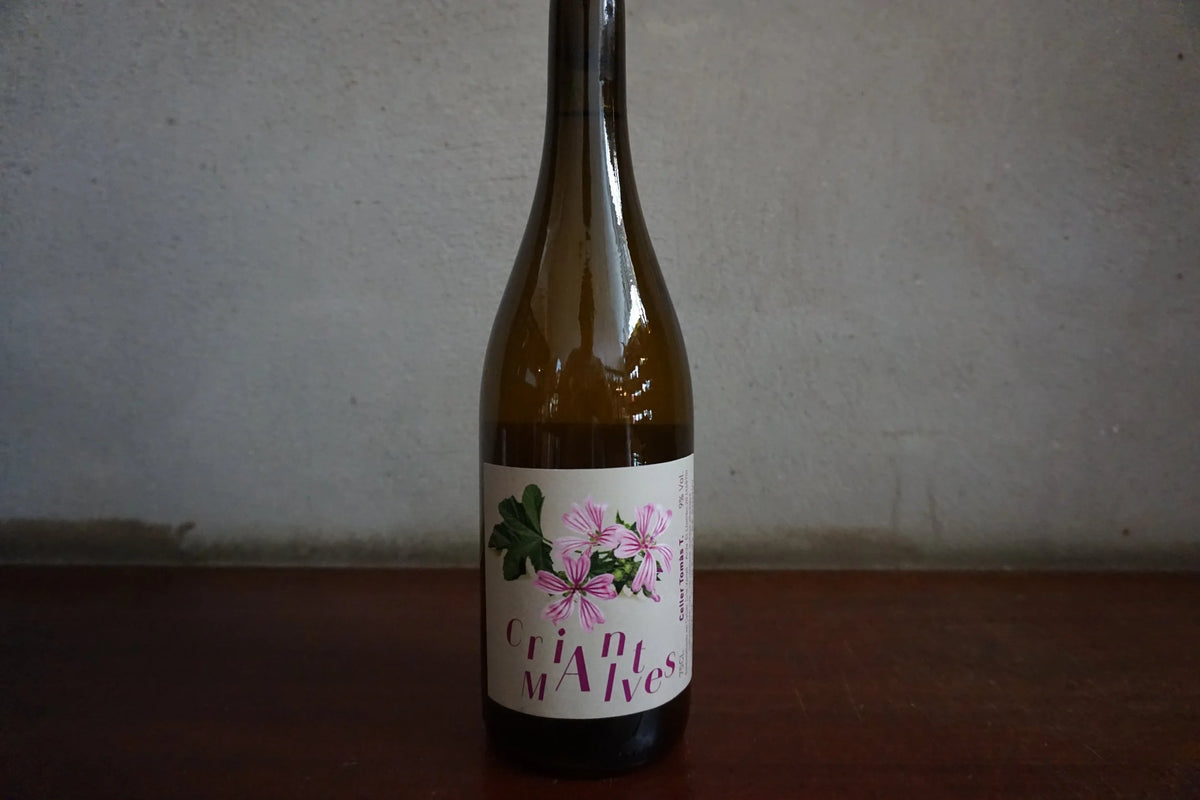 Celler Tomàs Torres, Criant Malves 2023